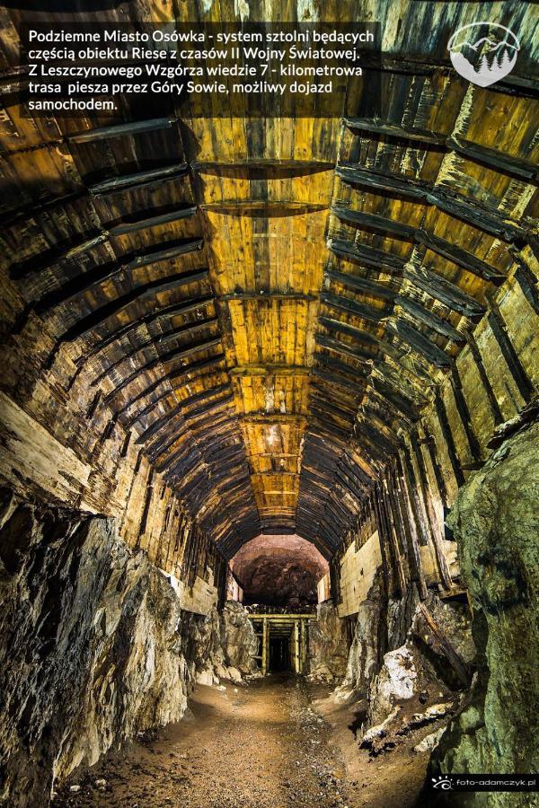 Agroturystyka Leszczynowe Wzgorze กลูชิสซา ภายนอก รูปภาพ