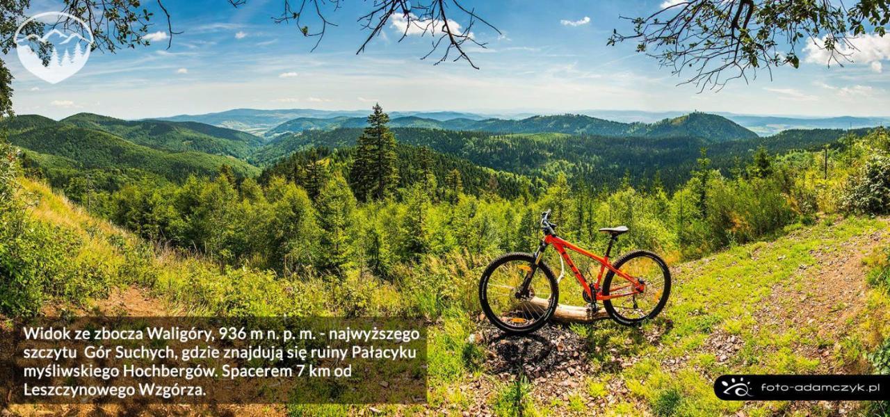 Agroturystyka Leszczynowe Wzgorze กลูชิสซา ภายนอก รูปภาพ