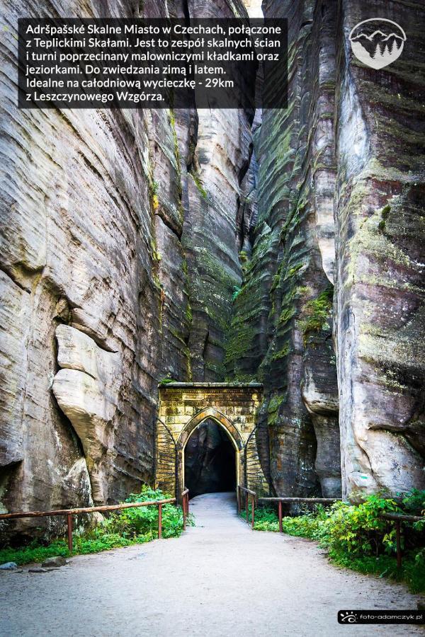 Agroturystyka Leszczynowe Wzgorze กลูชิสซา ภายนอก รูปภาพ