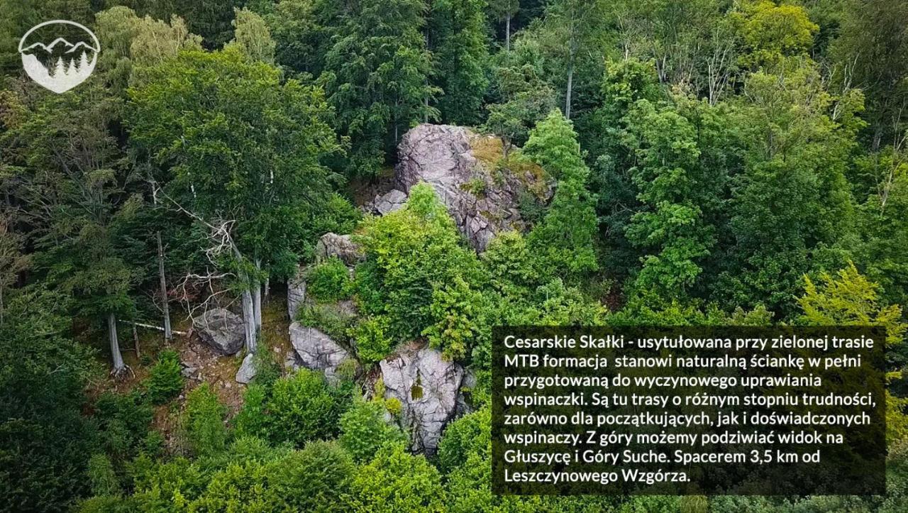 Agroturystyka Leszczynowe Wzgorze กลูชิสซา ภายนอก รูปภาพ