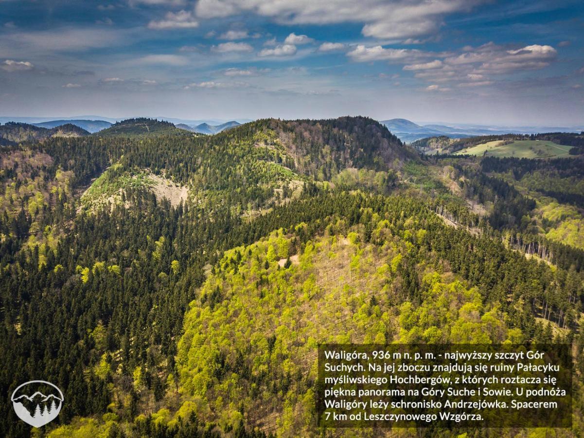 Agroturystyka Leszczynowe Wzgorze กลูชิสซา ภายนอก รูปภาพ