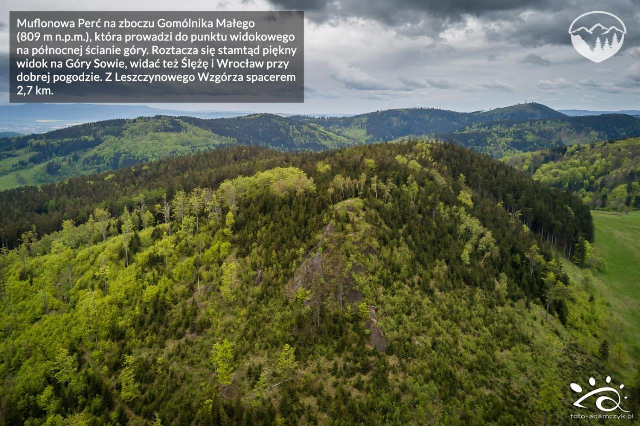 Agroturystyka Leszczynowe Wzgorze กลูชิสซา ภายนอก รูปภาพ
